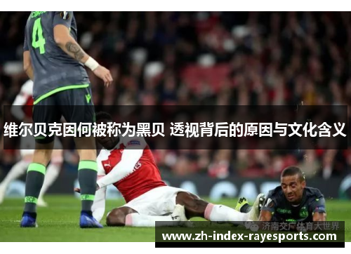 维尔贝克因何被称为黑贝 透视背后的原因与文化含义