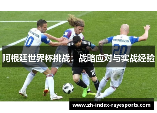 阿根廷世界杯挑战：战略应对与实战经验