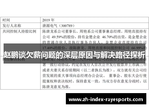 赵鹏谈欠薪问题的深层原因与解决路径探析