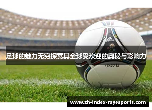 足球的魅力无穷探索其全球受欢迎的奥秘与影响力