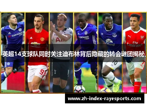 英超14支球队同时关注迪布林背后隐藏的转会谜团揭秘 英超14支球队同时关注迪布林背后隐藏的转会谜团揭秘